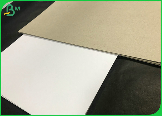 Nadające się do recyklingu Eco 250gsm 300gsm Grey Back gD2 Coated Duplex Paper Boards