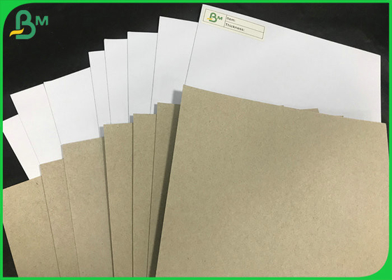 Nadające się do recyklingu Eco 250gsm 300gsm Grey Back gD2 Coated Duplex Paper Boards