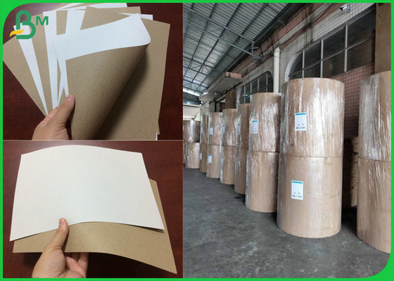 Recycled Pulp Jumbol Roll 170gsm 200gsm C1S Szary papier tylny do kartonu piwa